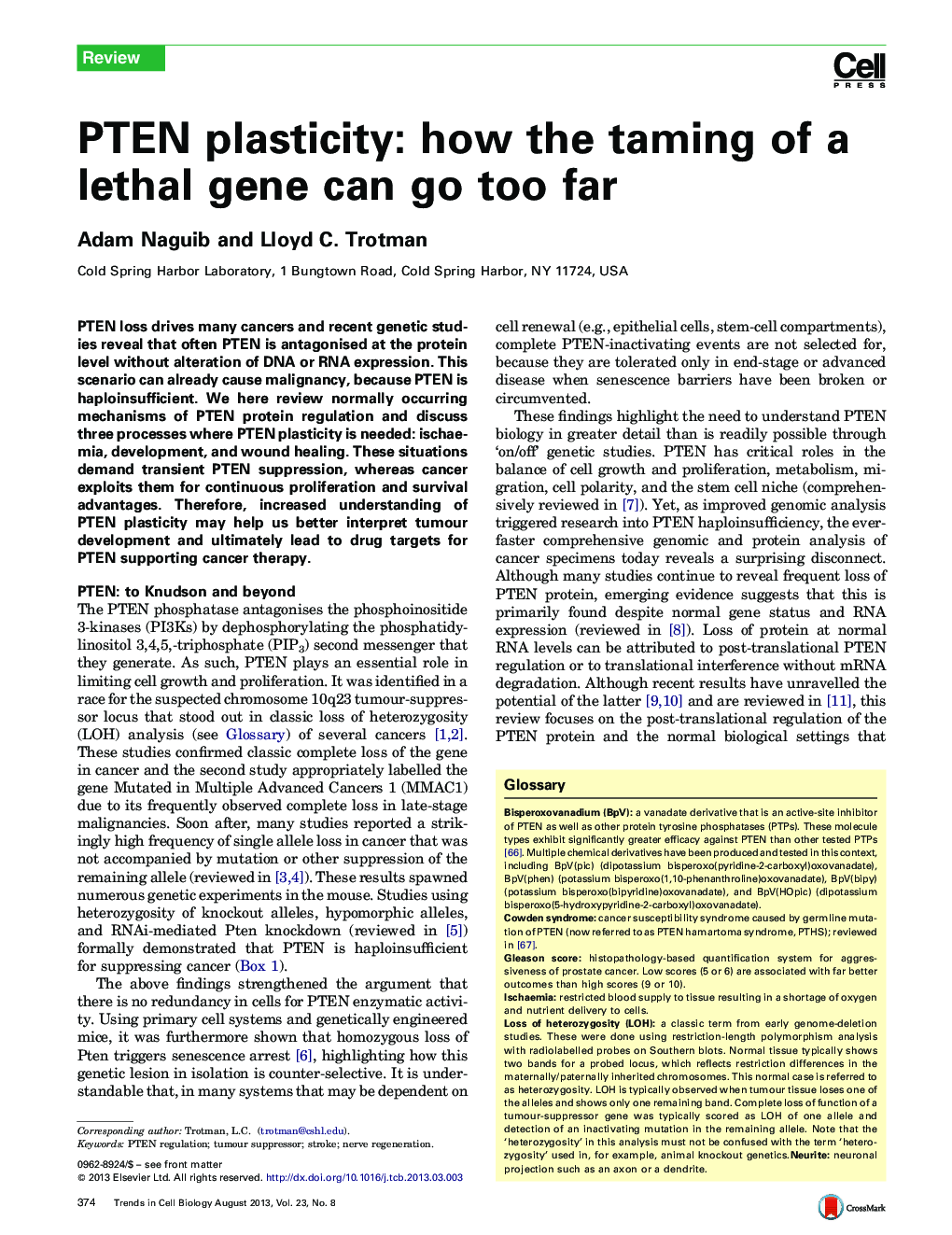 PTEN plasticity: how the taming of a lethal gene can go too far