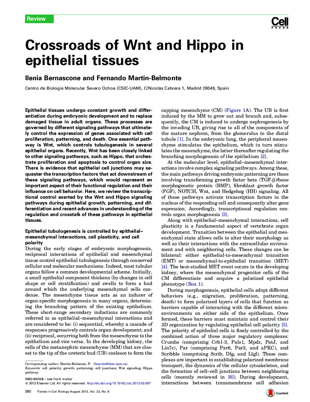 Crossroads of Wnt and Hippo in epithelial tissues