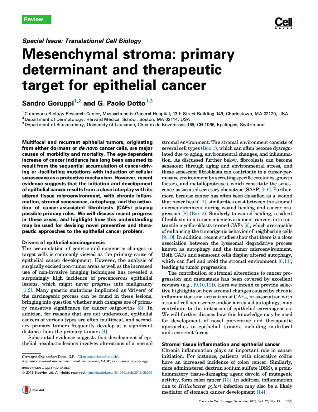 Mesenchymal stroma: primary determinant and therapeutic target for epithelial cancer