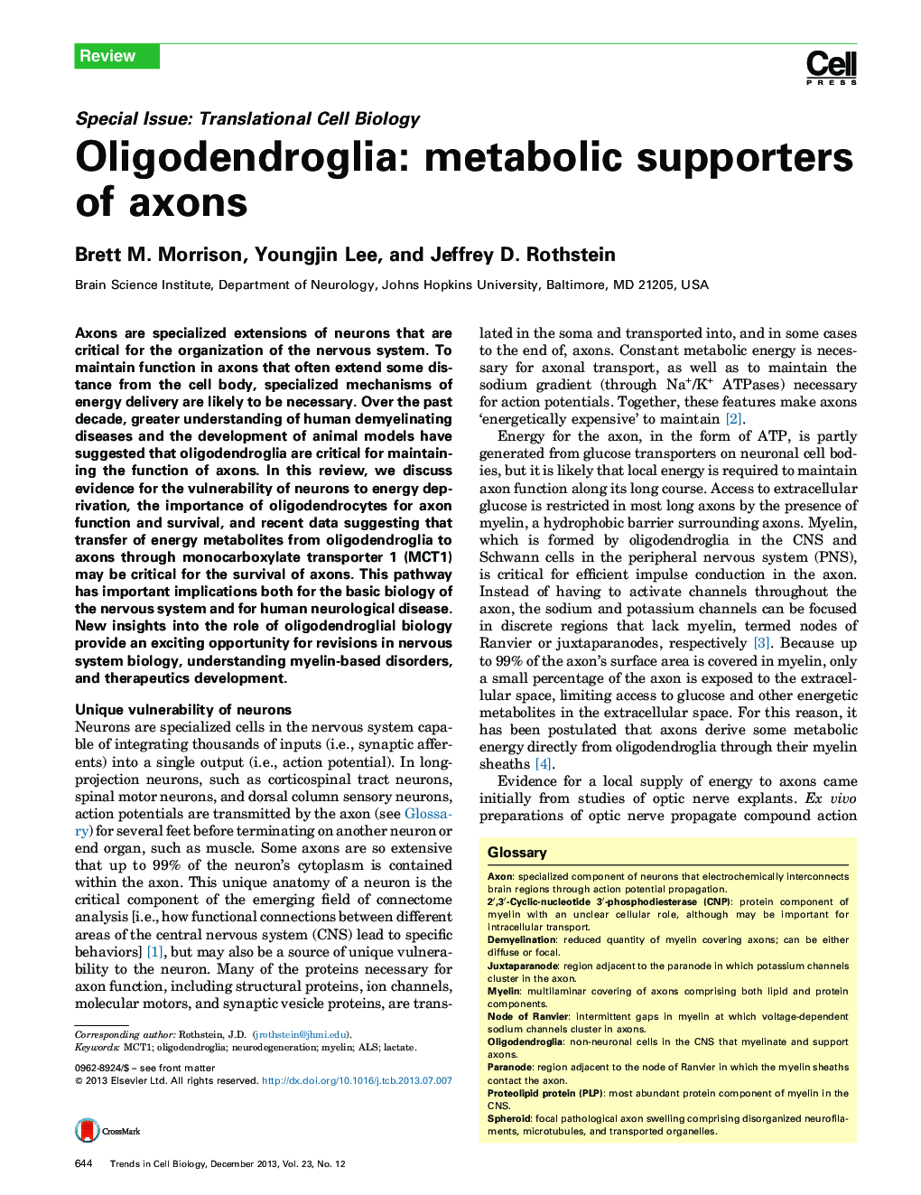 Oligodendroglia: metabolic supporters of axons