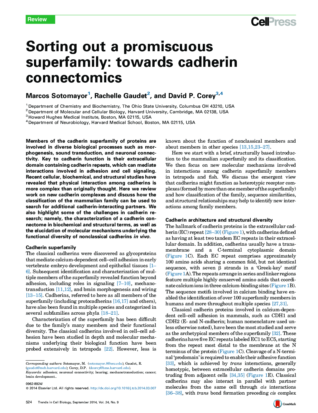 Sorting out a promiscuous superfamily: towards cadherin connectomics