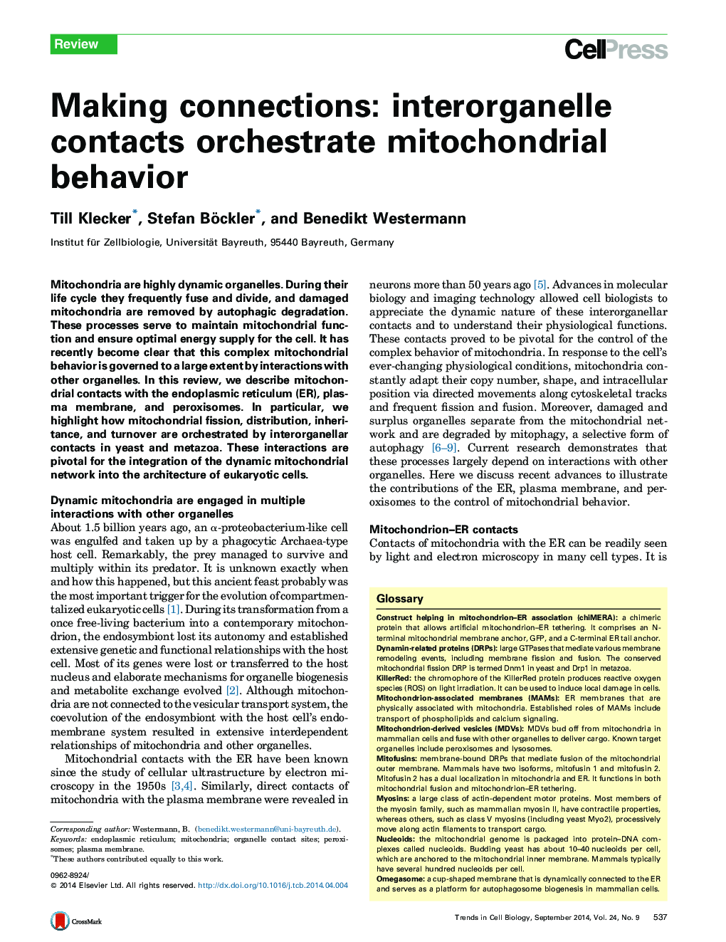 Making connections: interorganelle contacts orchestrate mitochondrial behavior