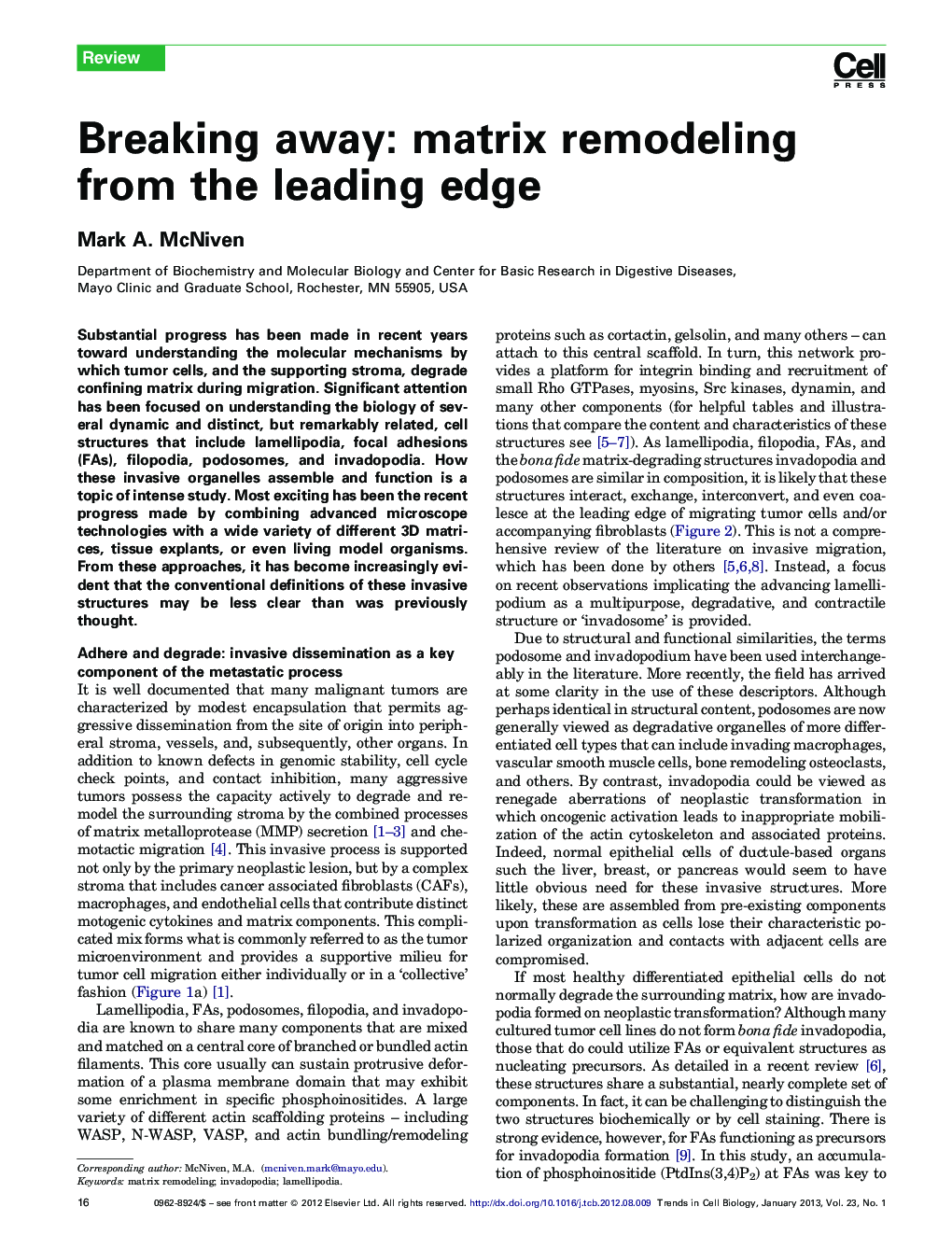 Breaking away: matrix remodeling from the leading edge