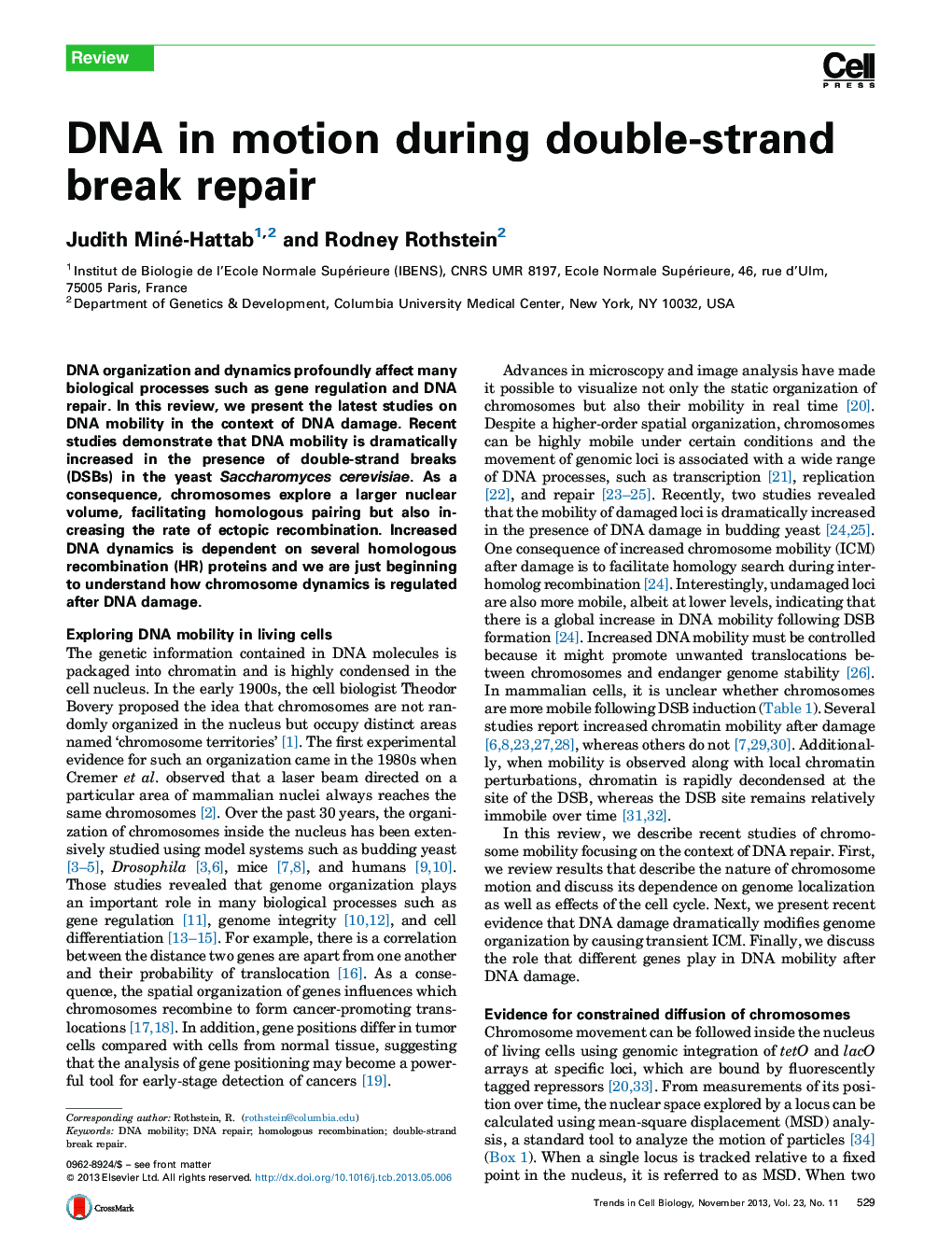 DNA in motion during double-strand break repair