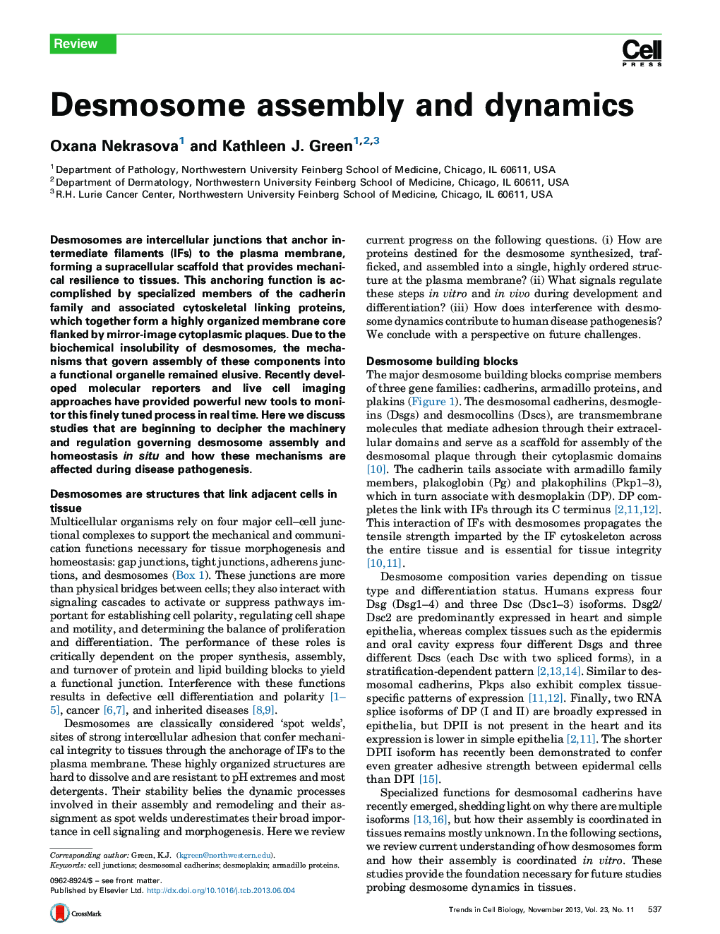 Desmosome assembly and dynamics