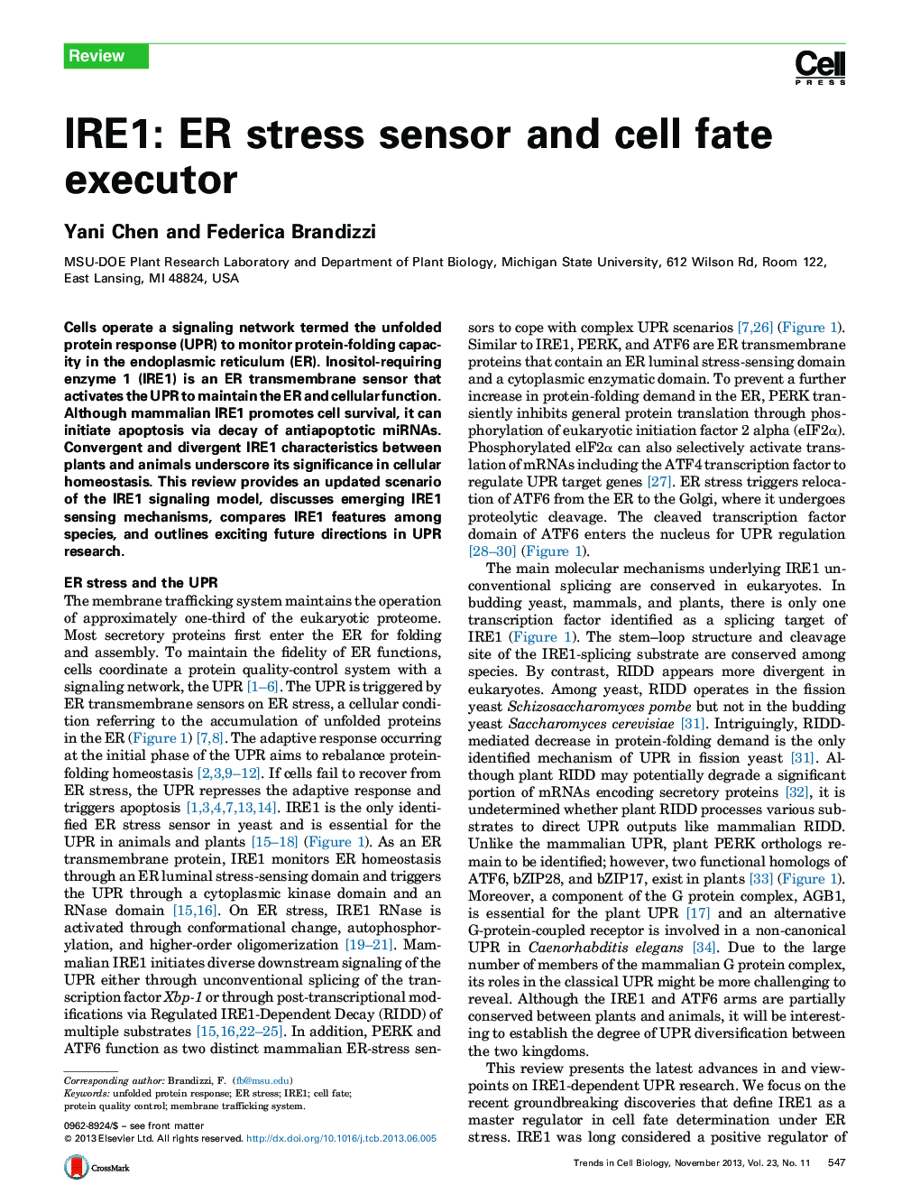 IRE1: ER stress sensor and cell fate executor