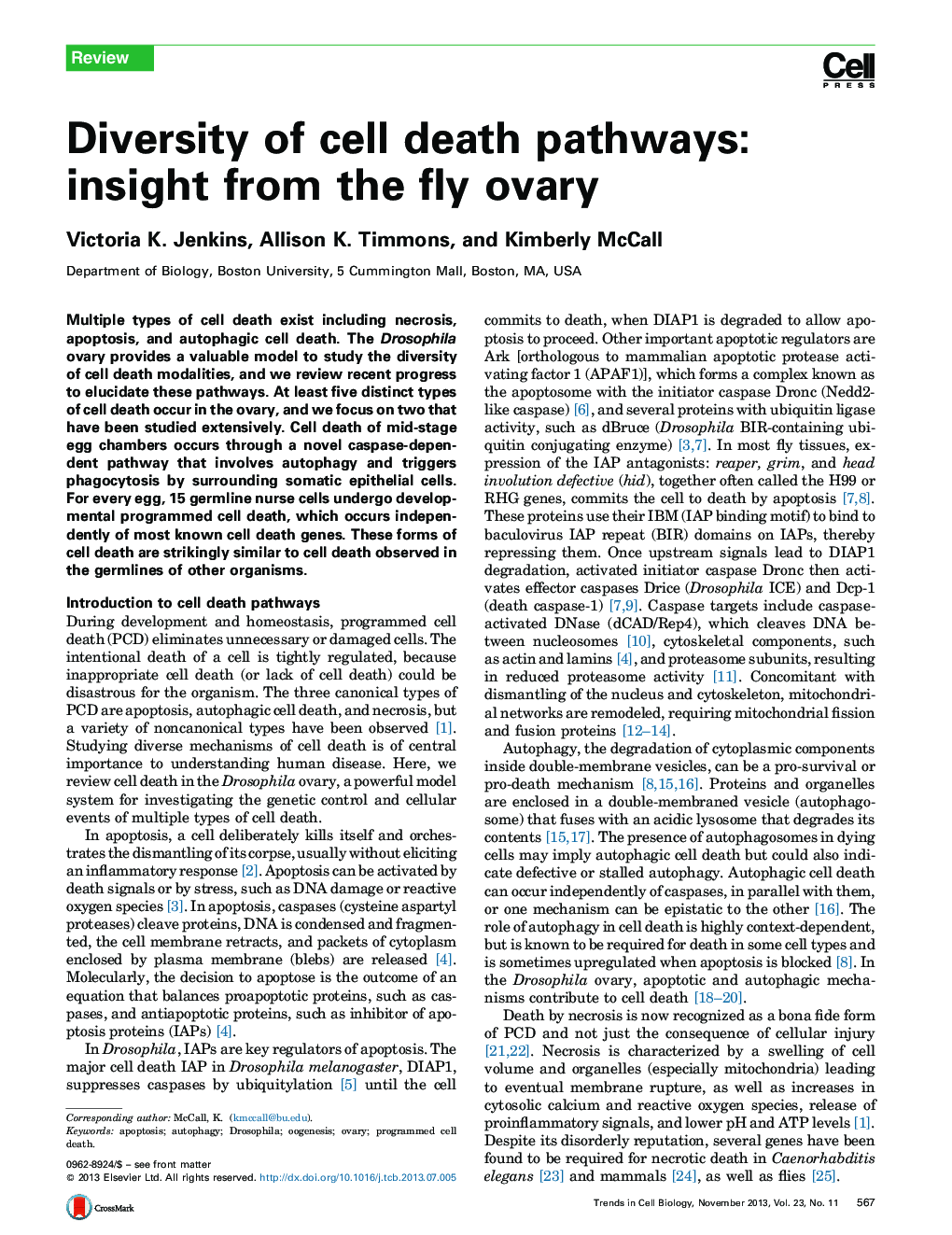 Diversity of cell death pathways: insight from the fly ovary