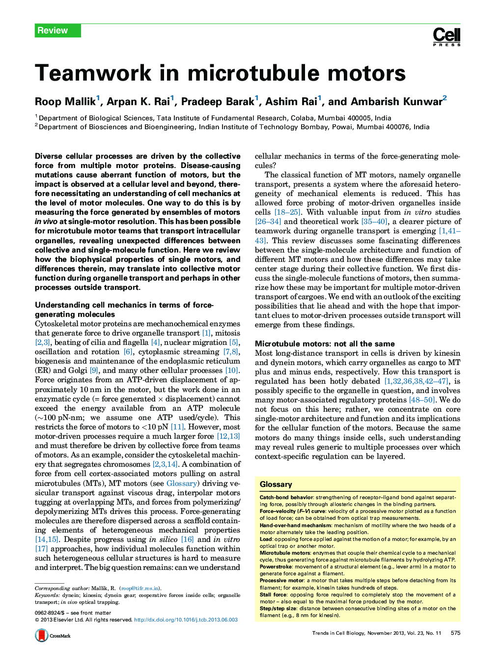 Teamwork in microtubule motors