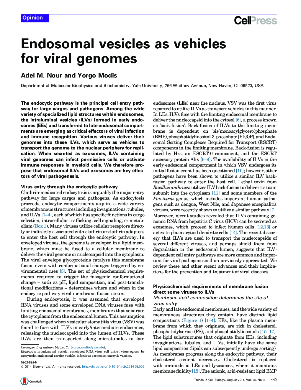 Endosomal vesicles as vehicles for viral genomes