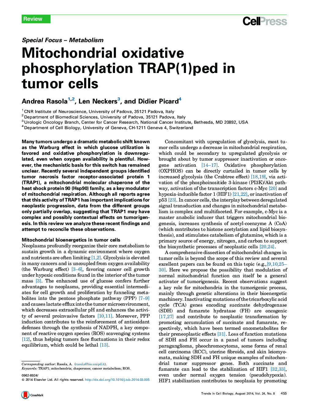 Mitochondrial oxidative phosphorylation TRAP(1)ped in tumor cells