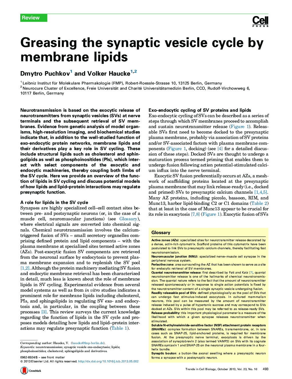 Greasing the synaptic vesicle cycle by membrane lipids