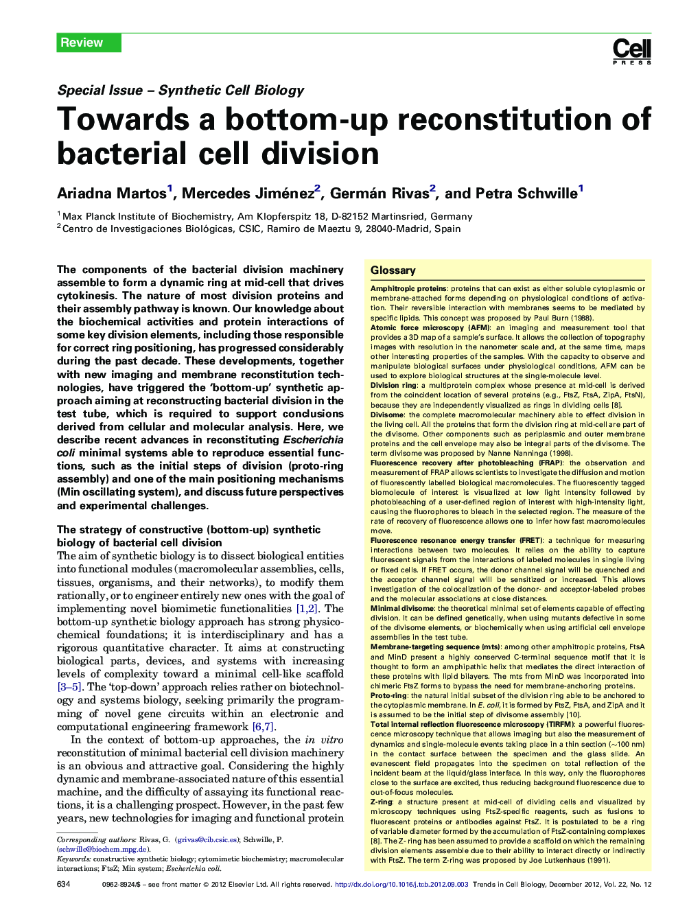 Towards a bottom-up reconstitution of bacterial cell division