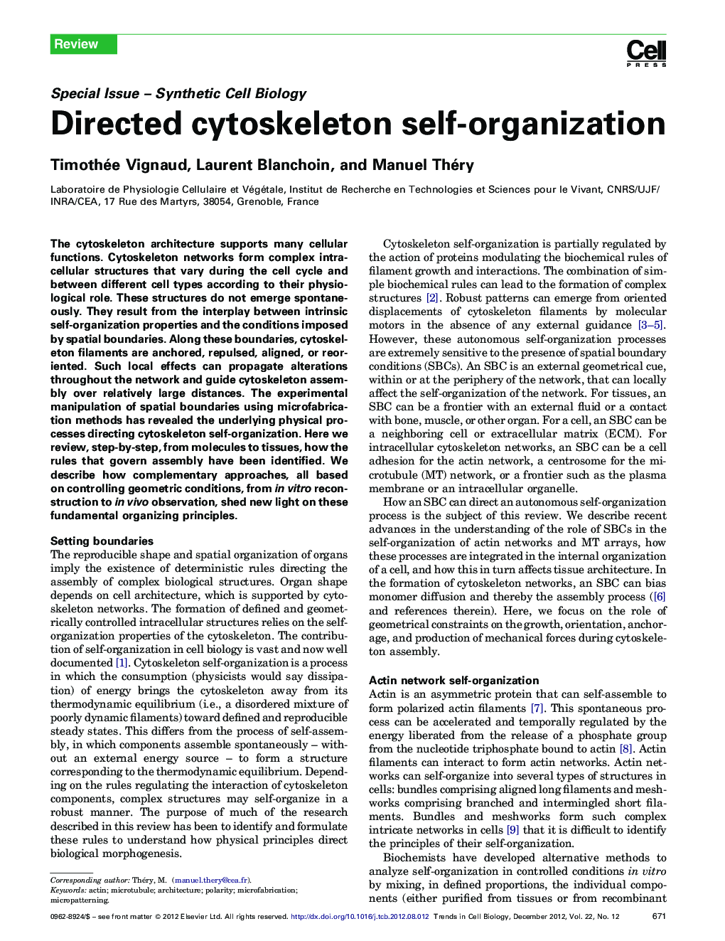 Directed cytoskeleton self-organization