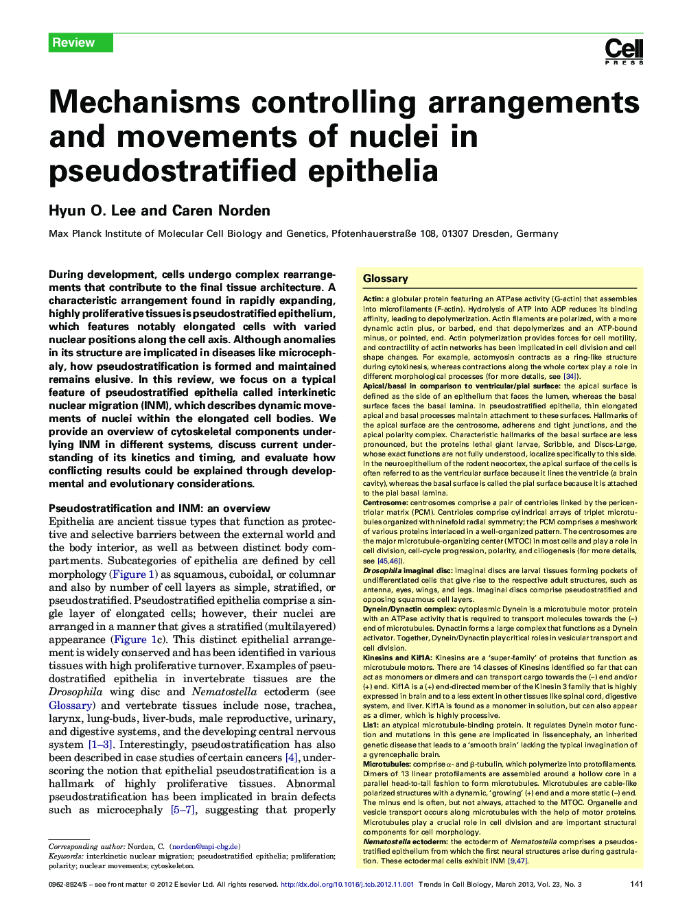 Mechanisms controlling arrangements and movements of nuclei in pseudostratified epithelia