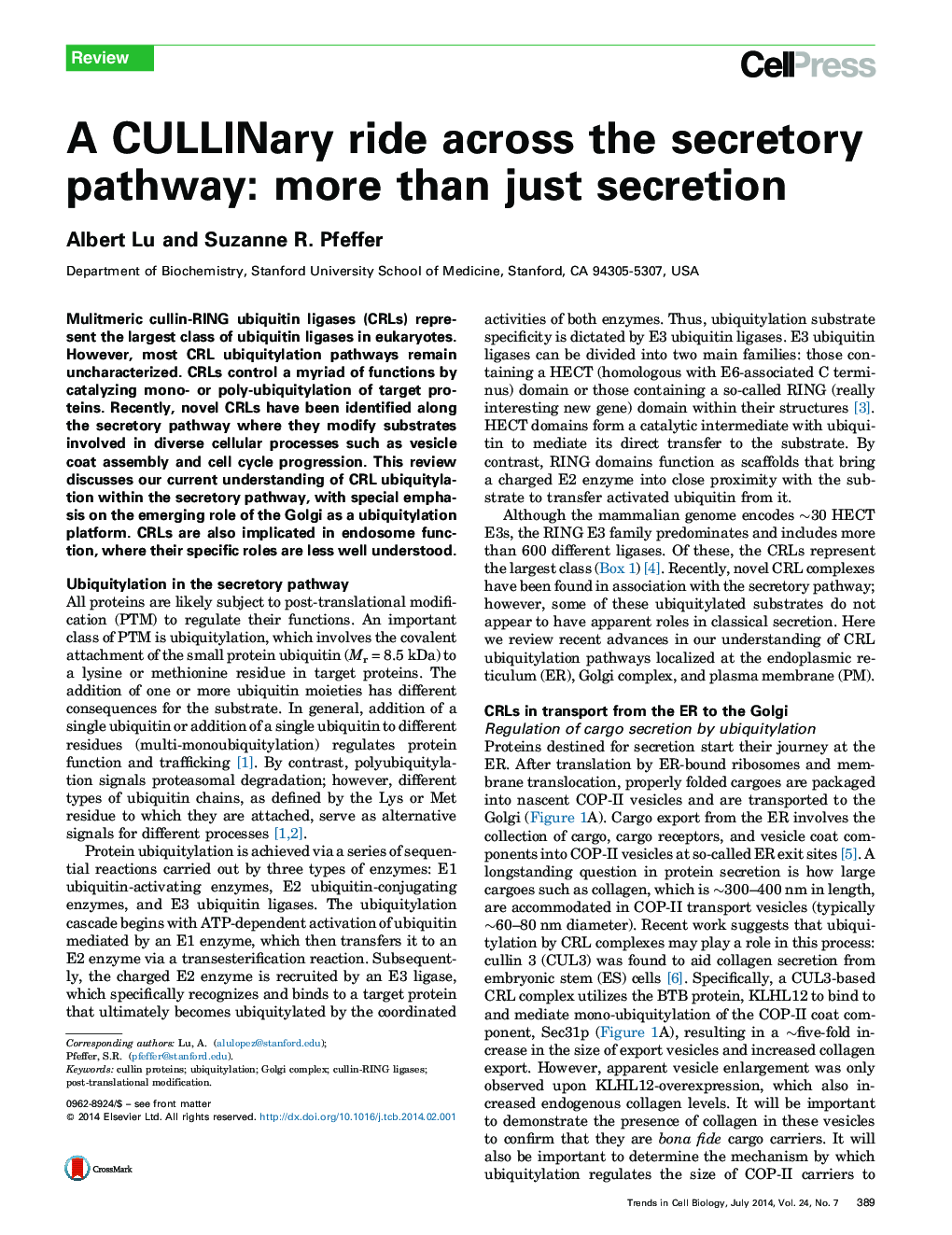 A CULLINary ride across the secretory pathway: more than just secretion