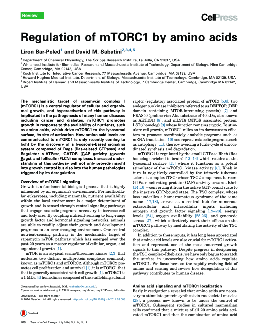 Regulation of mTORC1 by amino acids