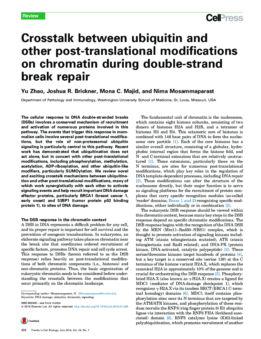 Crosstalk between ubiquitin and other post-translational modifications on chromatin during double-strand break repair