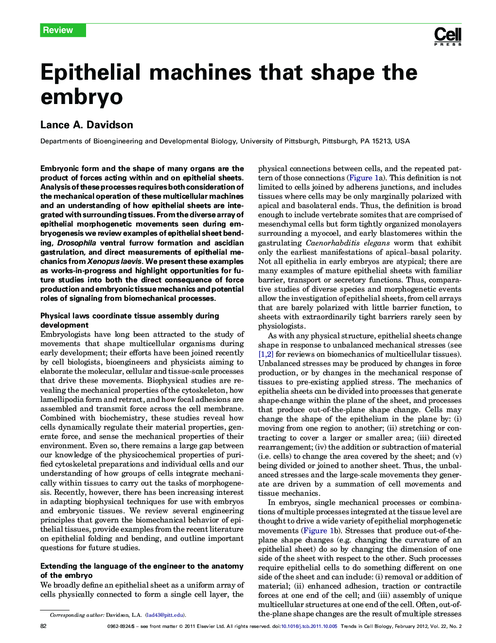 Epithelial machines that shape the embryo