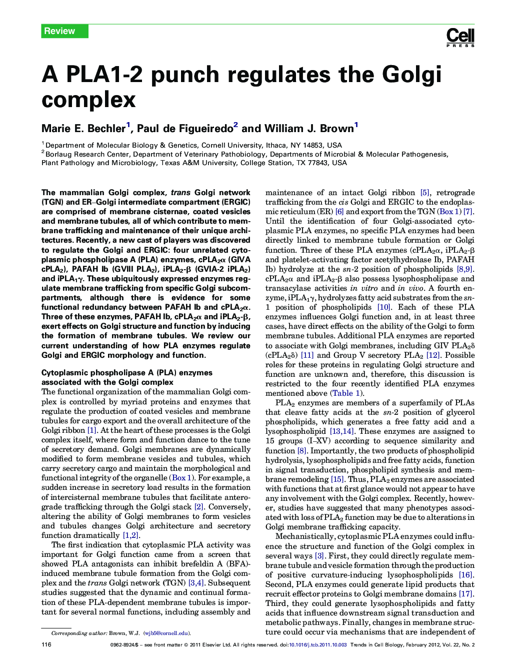 A PLA1-2 punch regulates the Golgi complex