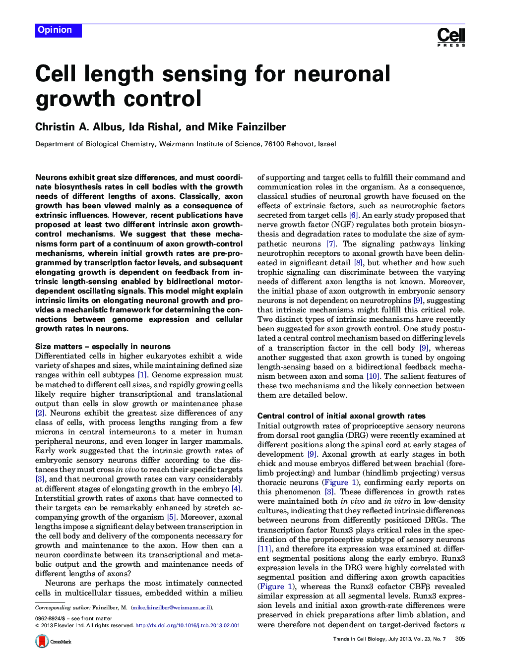 Cell length sensing for neuronal growth control