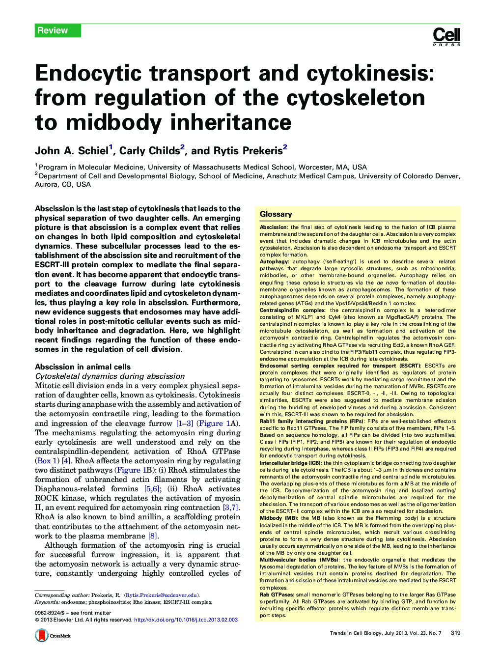 Endocytic transport and cytokinesis: from regulation of the cytoskeleton to midbody inheritance