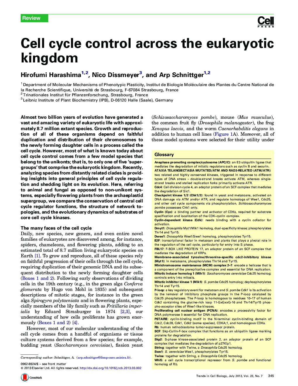 Cell cycle control across the eukaryotic kingdom