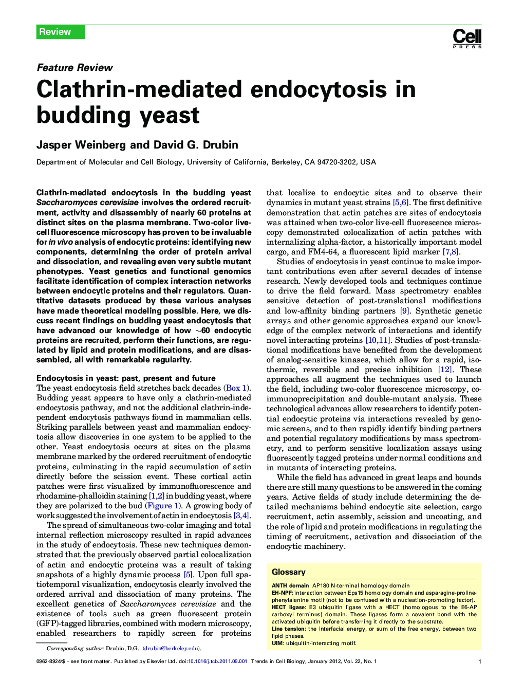 Clathrin-mediated endocytosis in budding yeast