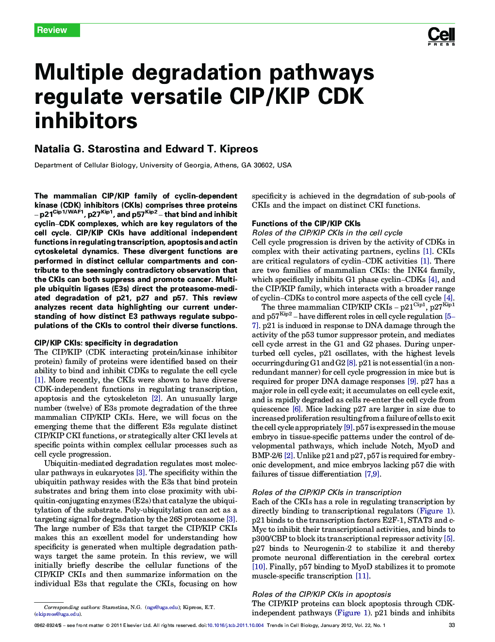 Multiple degradation pathways regulate versatile CIP/KIP CDK inhibitors