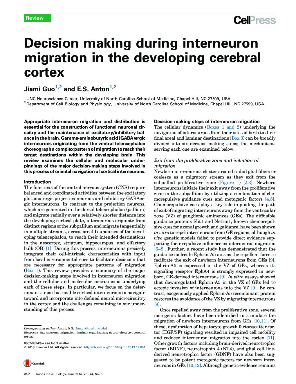 Decision making during interneuron migration in the developing cerebral cortex