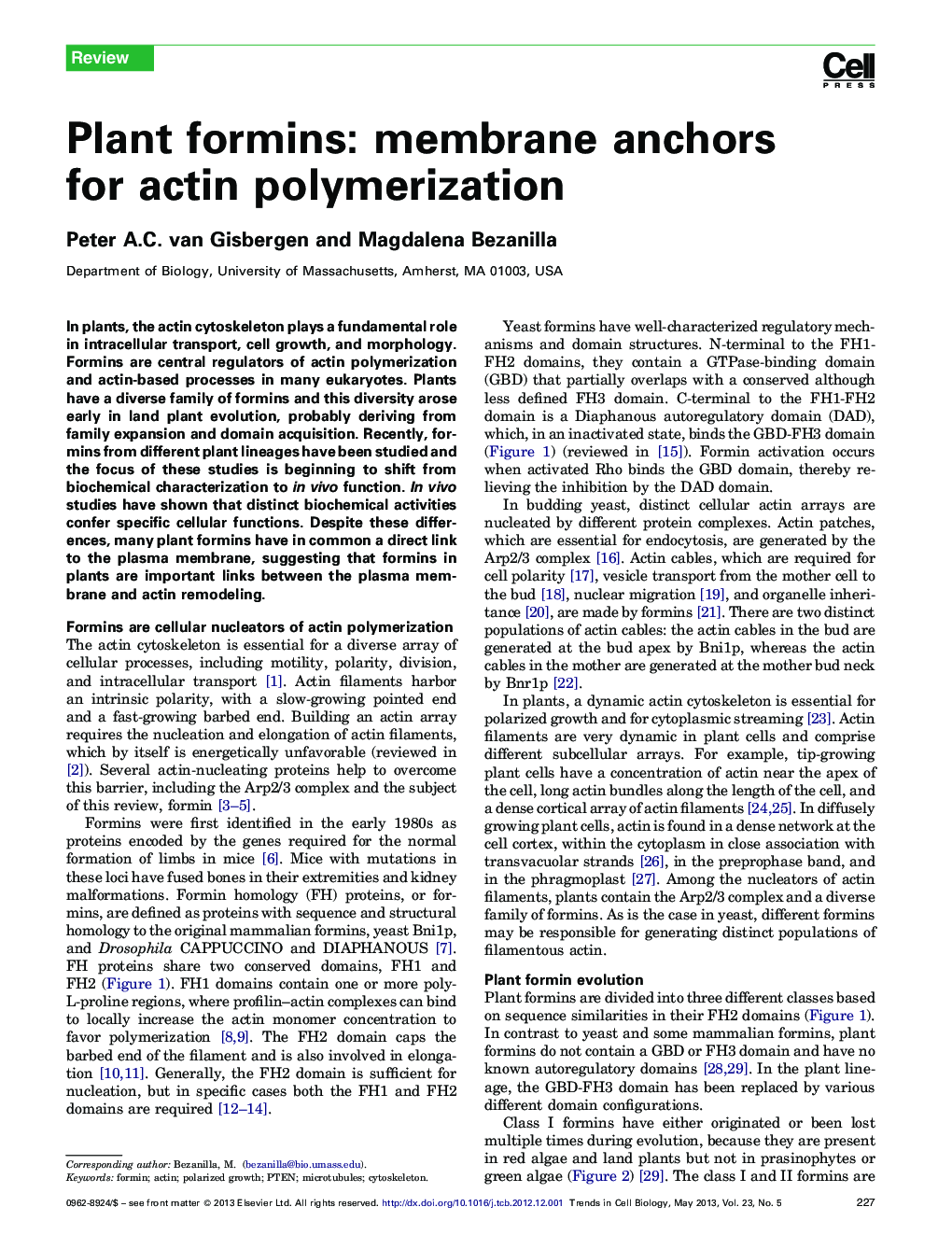 Plant formins: membrane anchors for actin polymerization