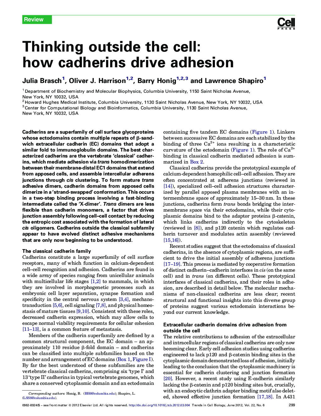 Thinking outside the cell: how cadherins drive adhesion