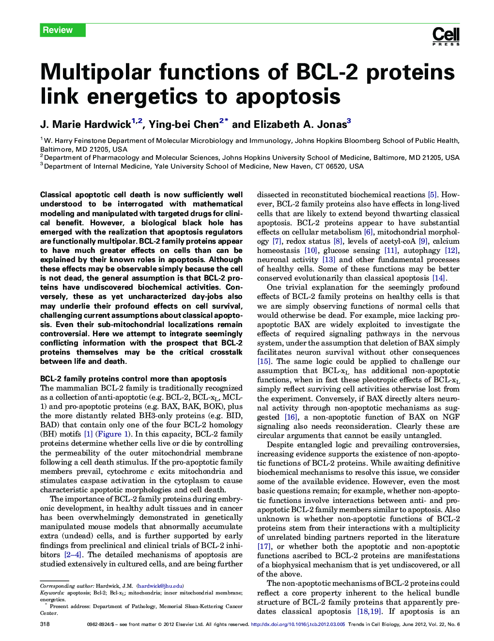 Multipolar functions of BCL-2 proteins link energetics to apoptosis