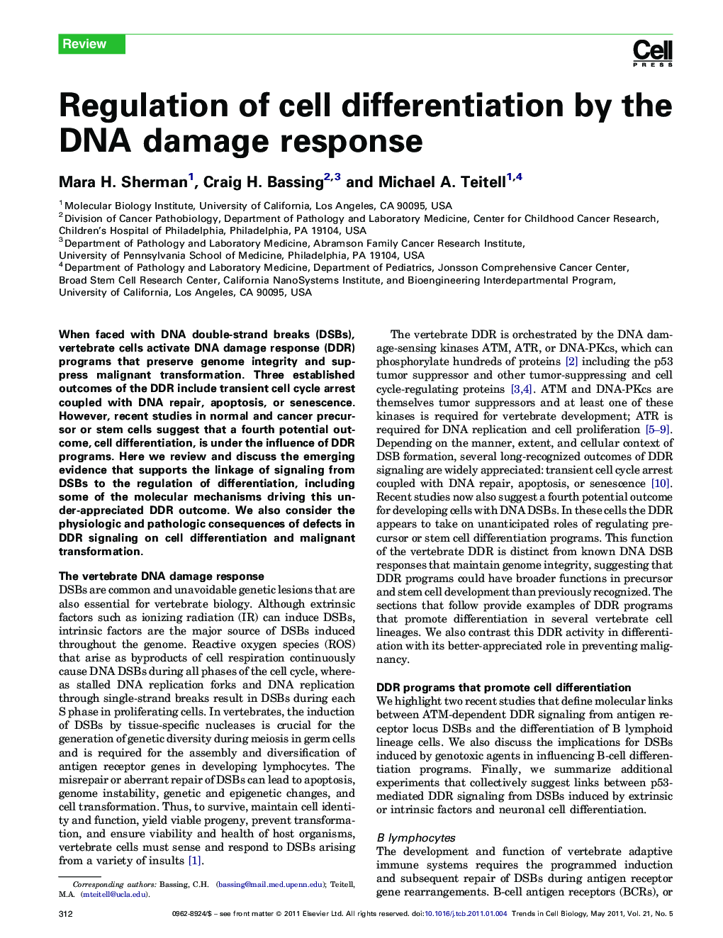 Regulation of cell differentiation by the DNA damage response