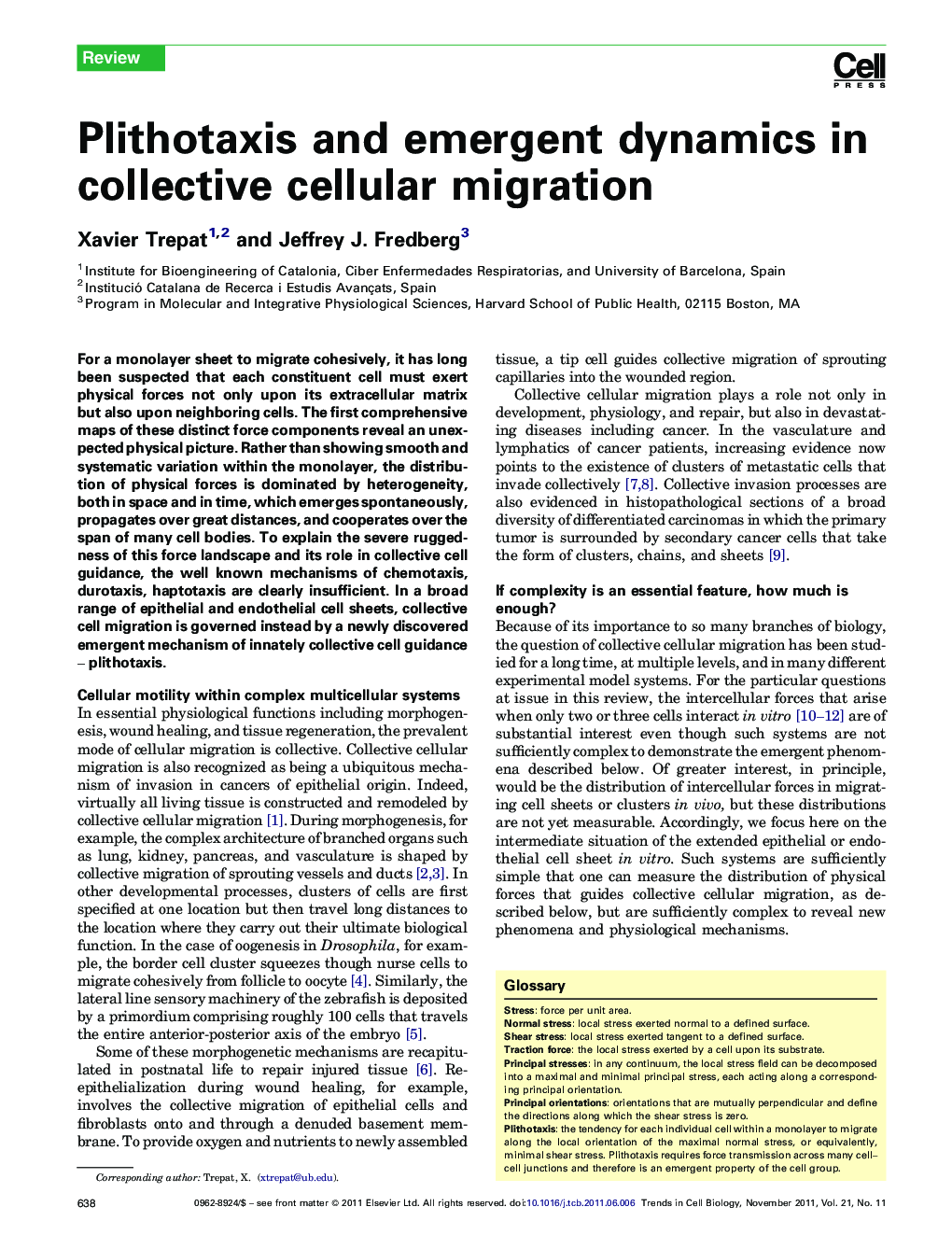 Plithotaxis and emergent dynamics in collective cellular migration