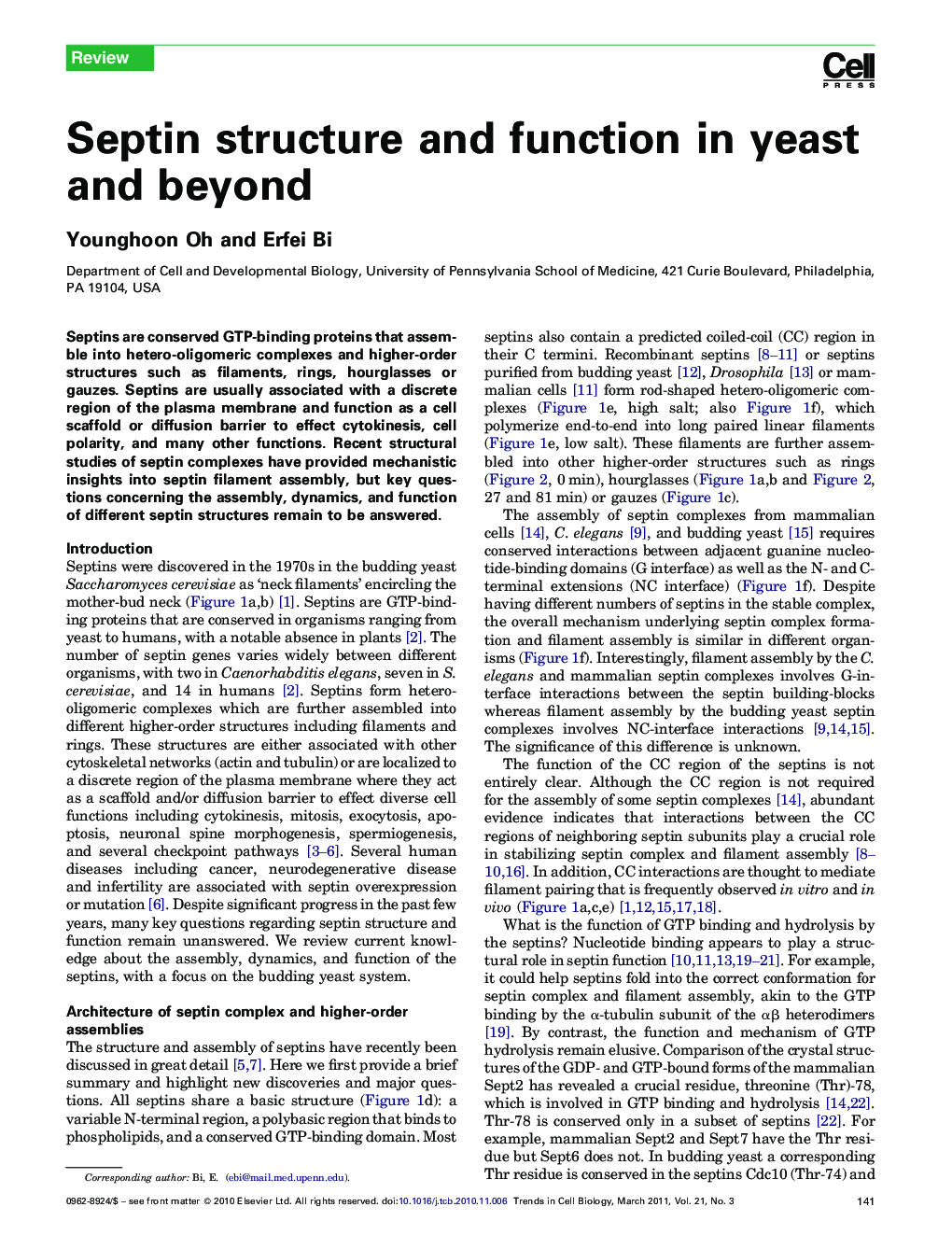 Septin structure and function in yeast and beyond