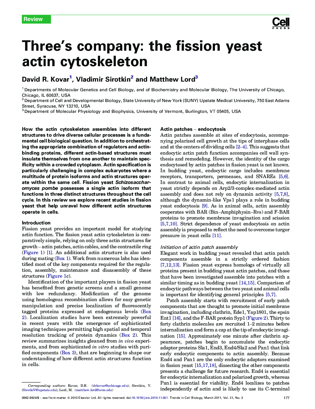 Three's company: the fission yeast actin cytoskeleton