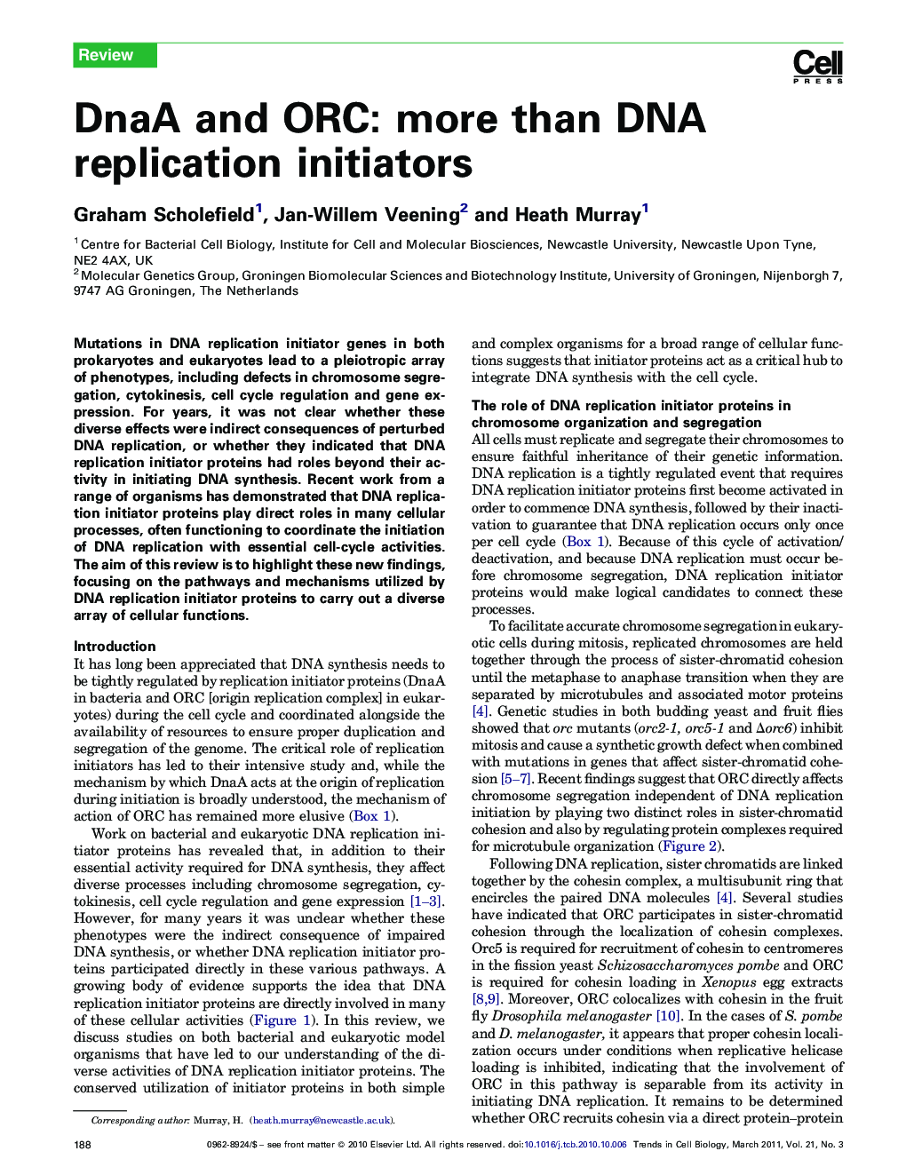 DnaA and ORC: more than DNA replication initiators