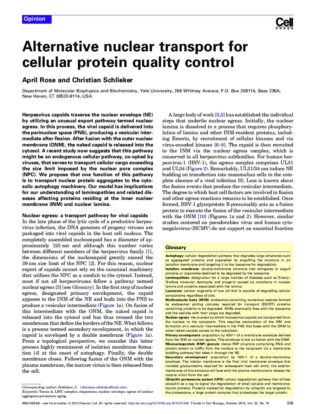 Alternative nuclear transport for cellular protein quality control