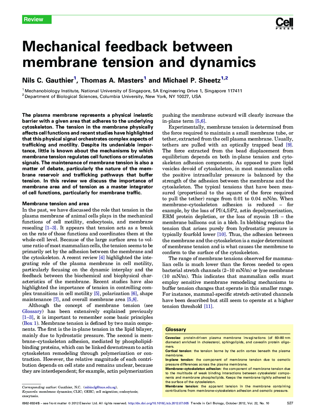 Mechanical feedback between membrane tension and dynamics