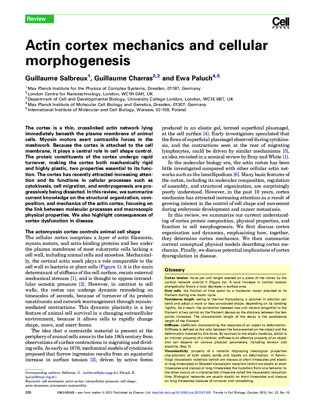 Actin cortex mechanics and cellular morphogenesis