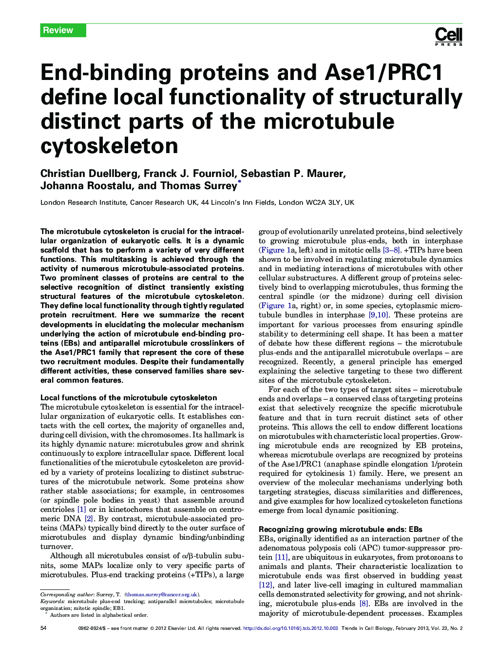 End-binding proteins and Ase1/PRC1 define local functionality of structurally distinct parts of the microtubule cytoskeleton