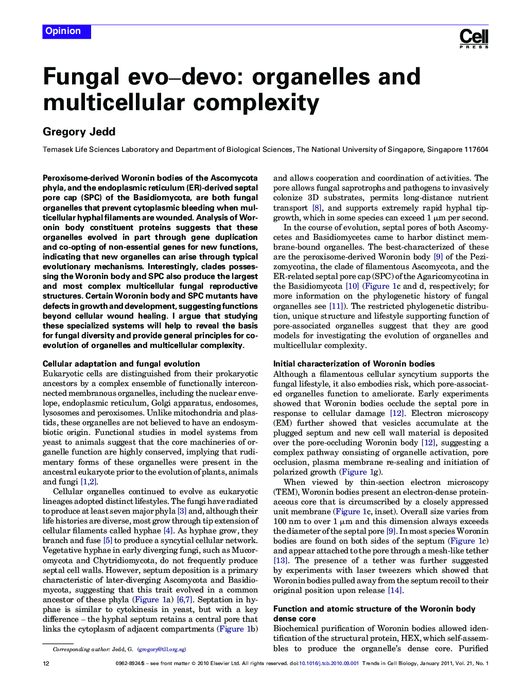 Fungal evo–devo: organelles and multicellular complexity