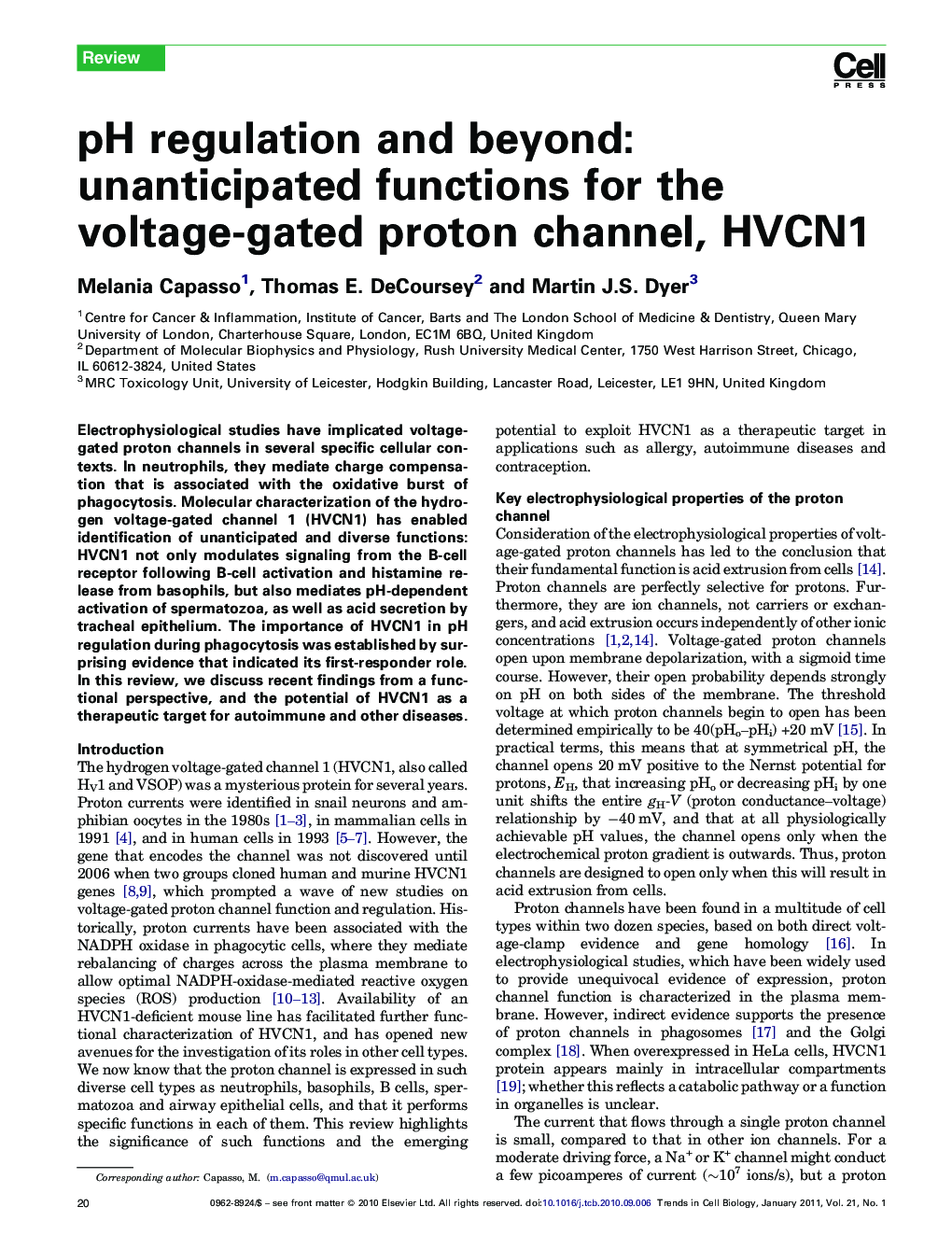 pH regulation and beyond: unanticipated functions for the voltage-gated proton channel, HVCN1