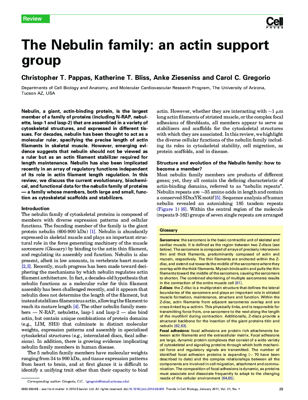 The Nebulin family: an actin support group