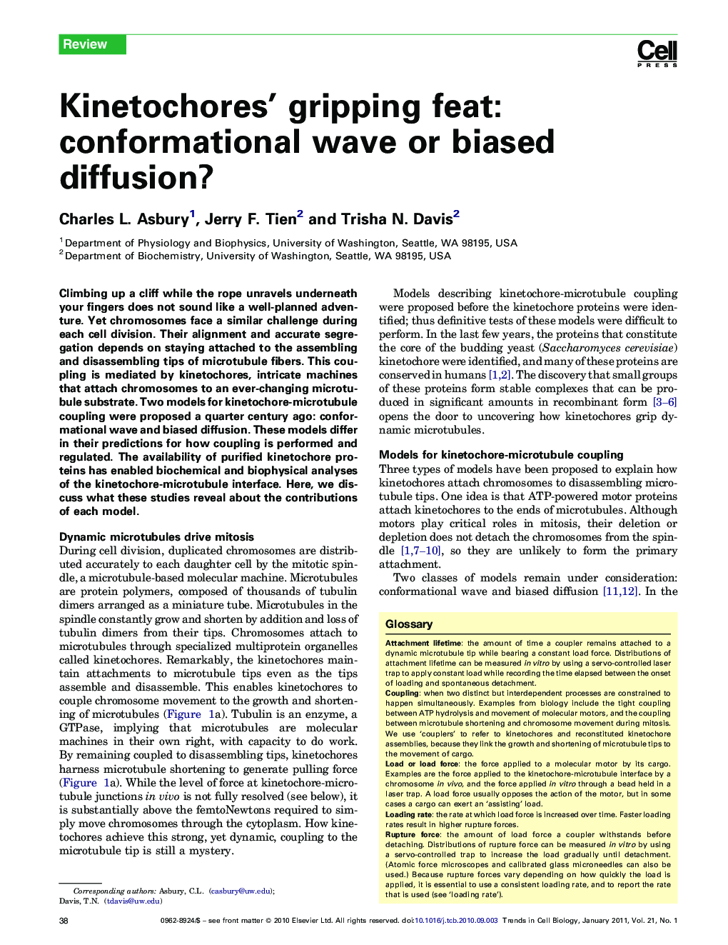 Kinetochores’ gripping feat: conformational wave or biased diffusion?