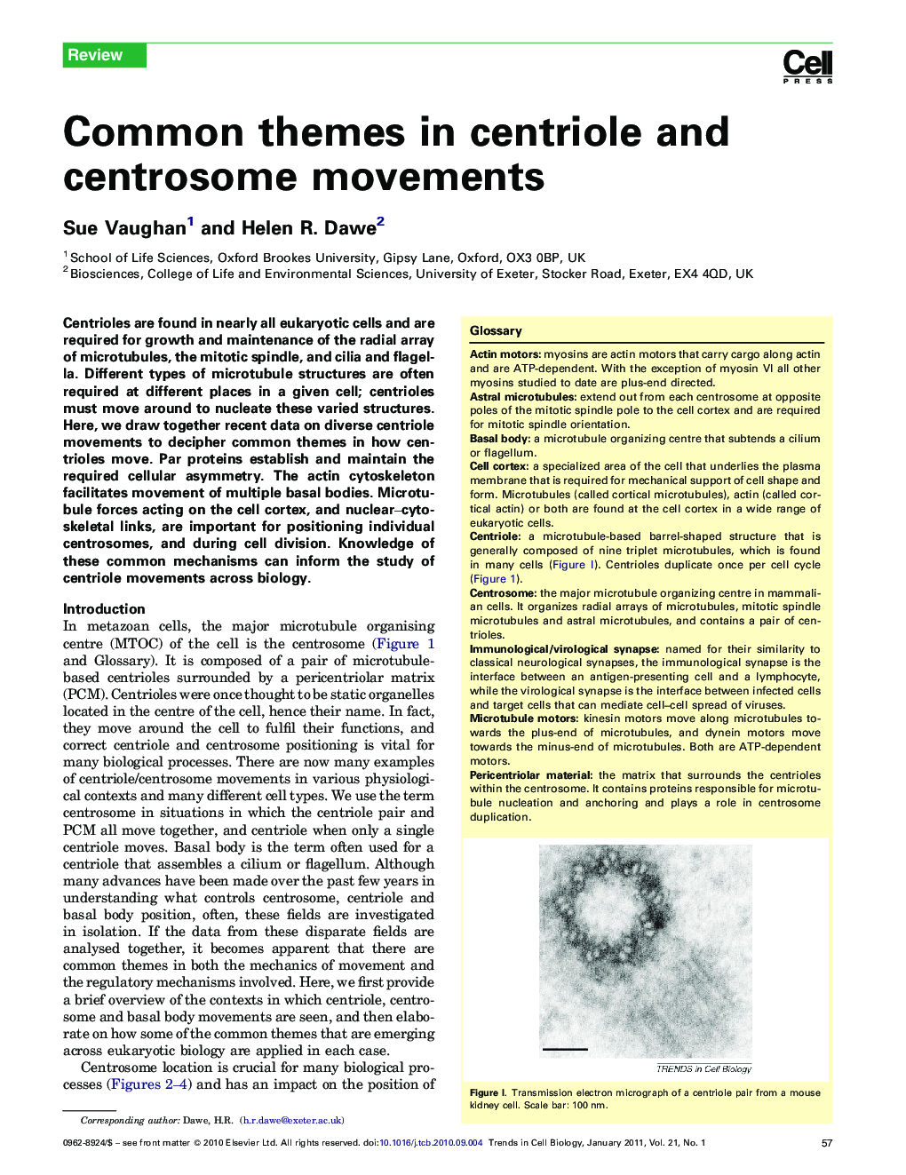 Common themes in centriole and centrosome movements