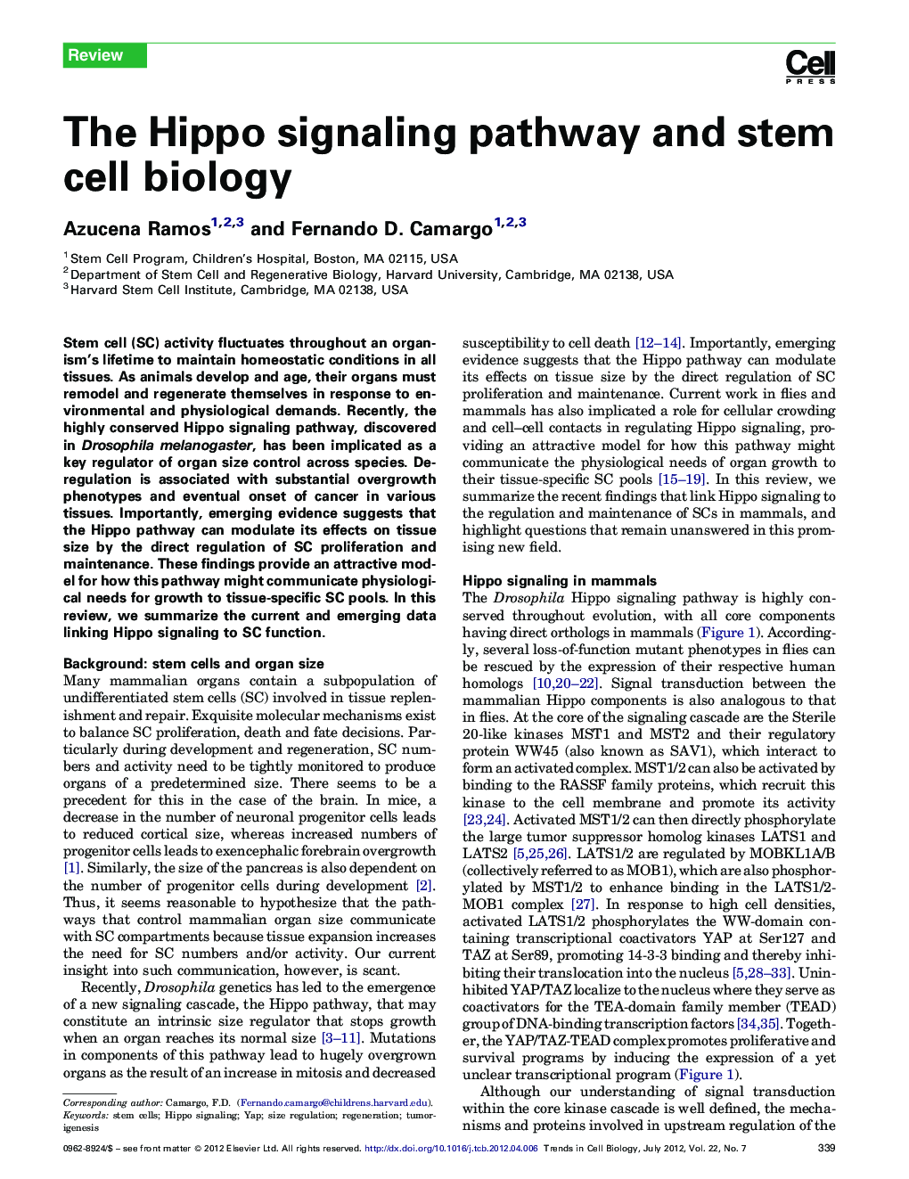 The Hippo signaling pathway and stem cell biology