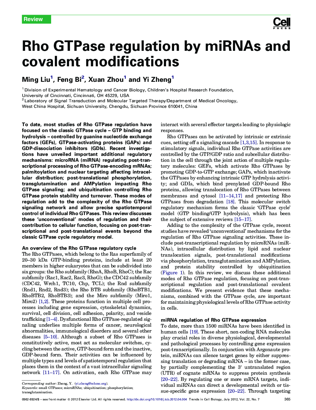 Rho GTPase regulation by miRNAs and covalent modifications