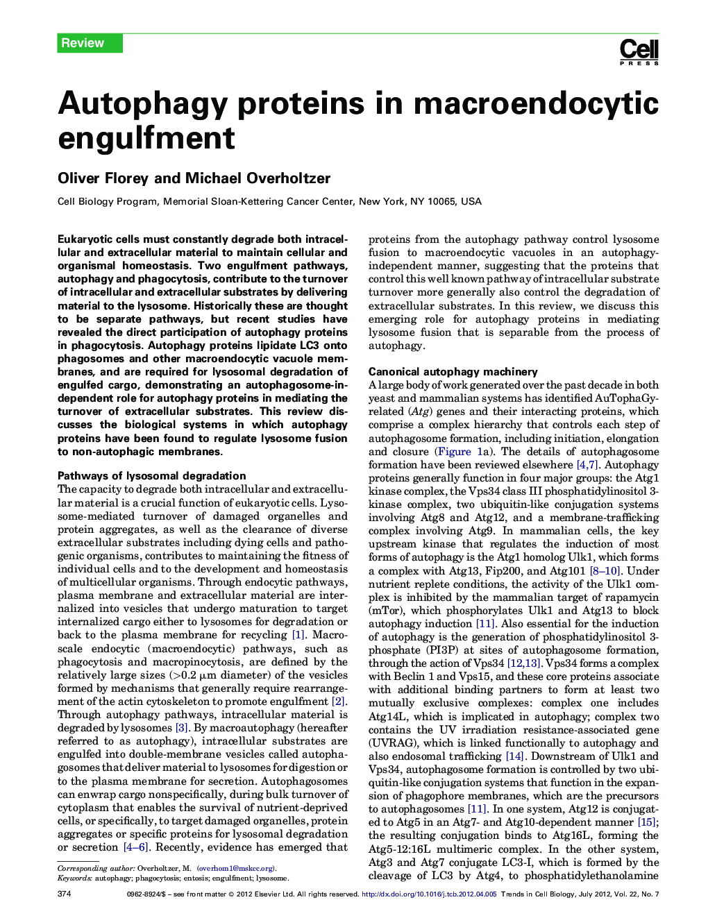 Autophagy proteins in macroendocytic engulfment