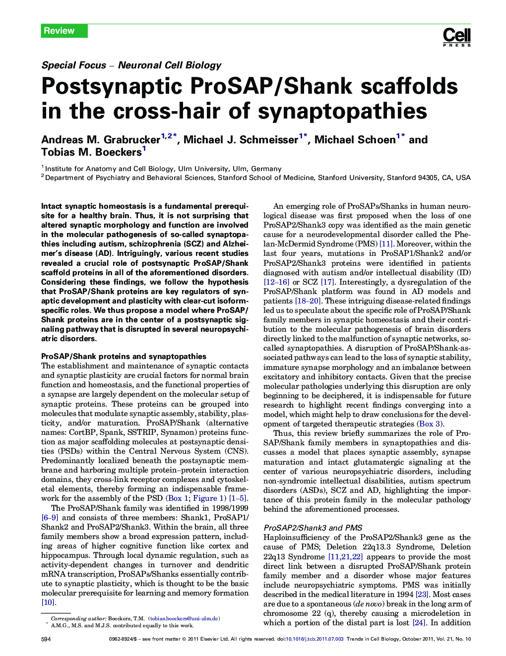 Postsynaptic ProSAP/Shank scaffolds in the cross-hair of synaptopathies